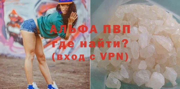 прущие грибы Балабаново