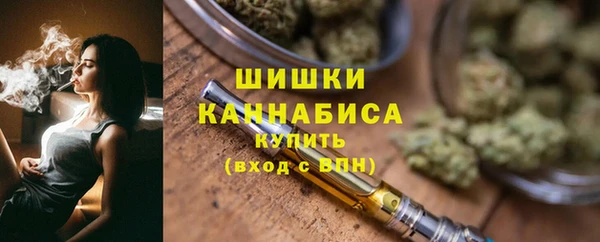 прущие грибы Балабаново