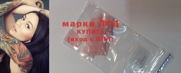 прущие грибы Балабаново
