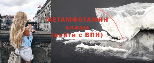прущие грибы Балабаново
