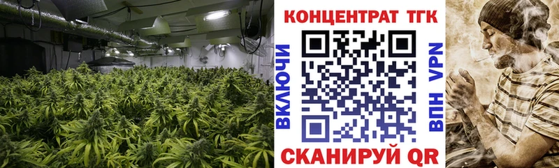 shop Telegram  Белово  ТГК THC oil 