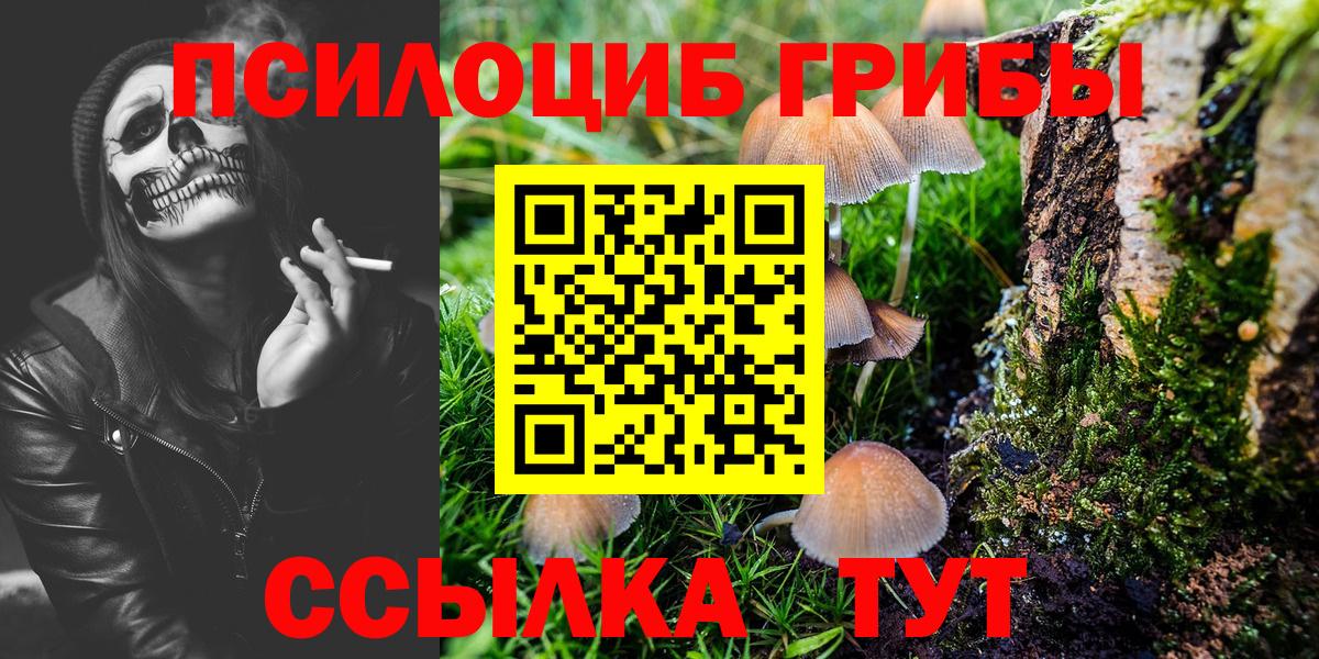Псилоцибиновые грибы Psilocybine cubensis Белово