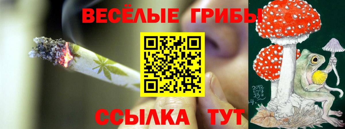 Белово  Галлюциногенные грибы мухоморы  Вход с VPN 