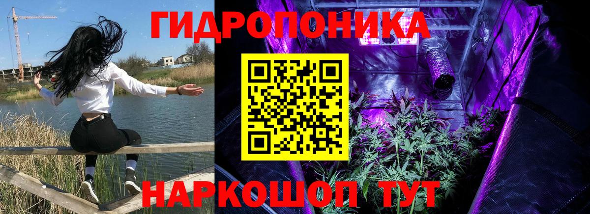 Конопля конопля Белово